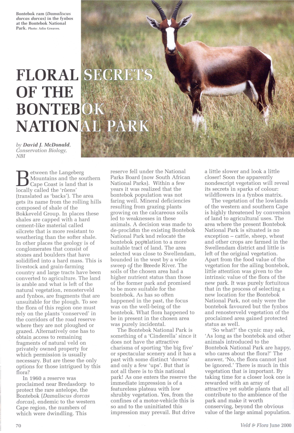 Floral Secrets of the Bontebok National Park