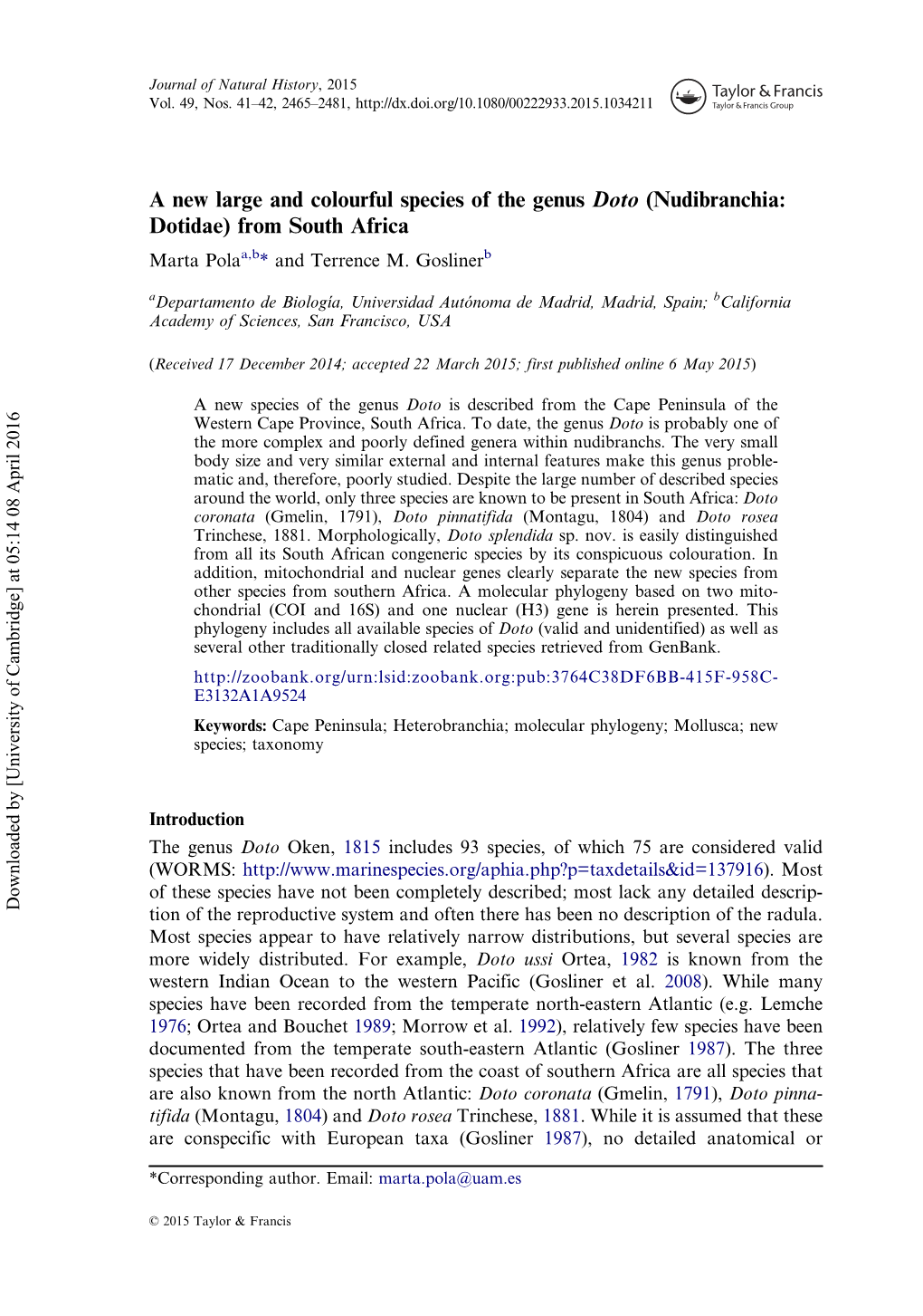 A New Large and Colourful Species of the Genus Doto (Nudibranchia: Dotidae) from South Africa Marta Polaa,B* and Terrence M