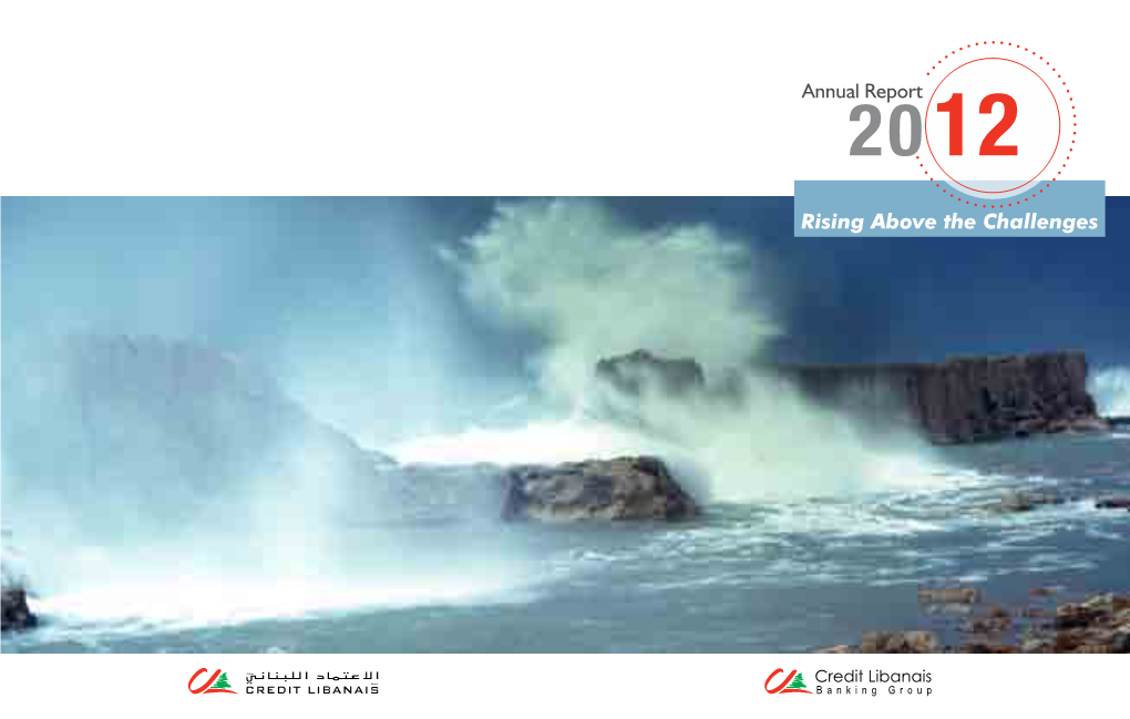 Rising Above the Challenges Annual Report 12
