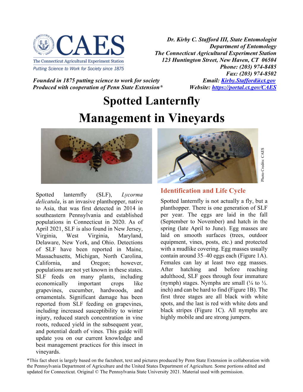 Spotted Lanternfly Management for Vineyards