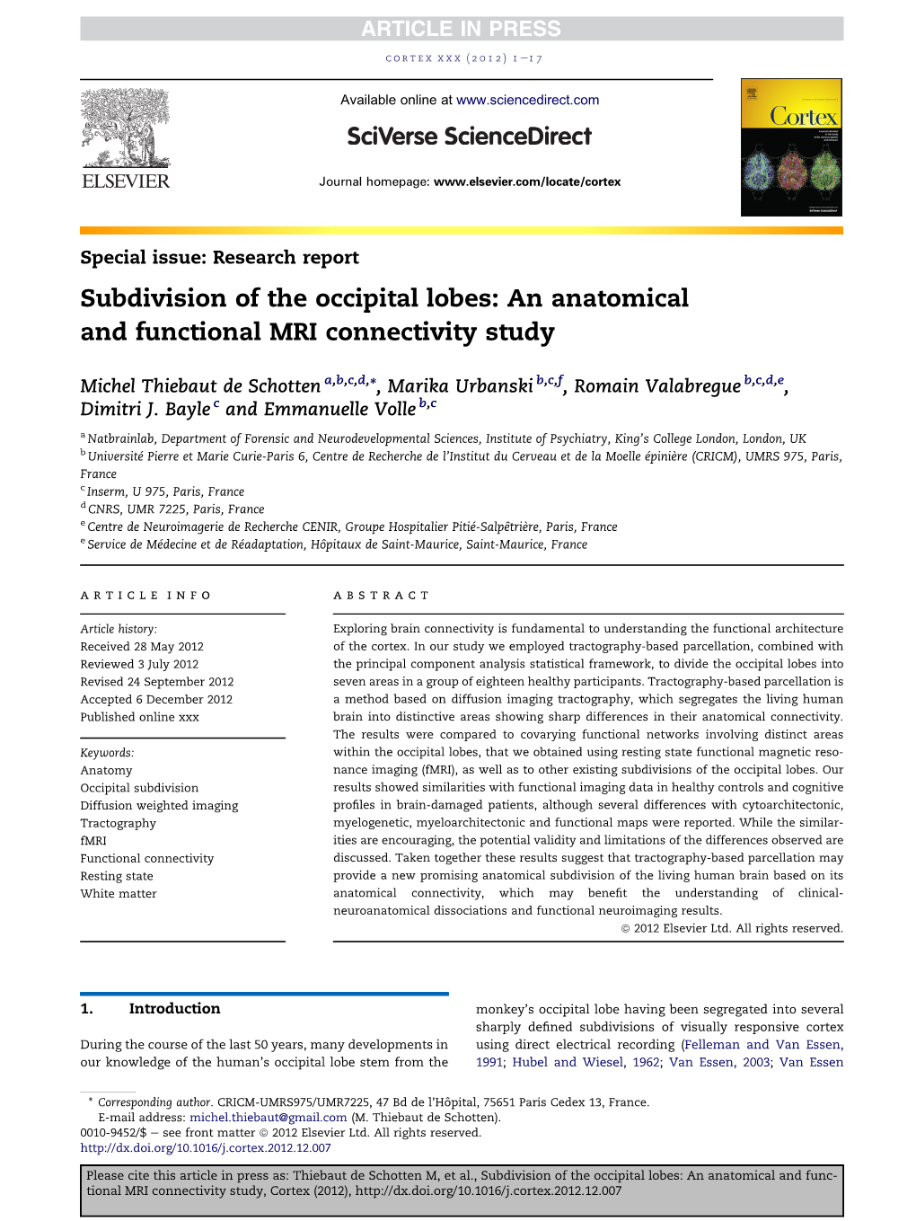 Subdivision of the Occipital Lobes: an Anatomical and Functional MRI Connectivity Study