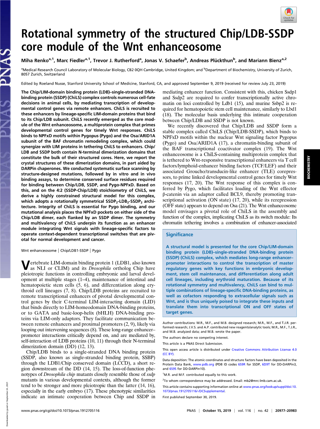 Rotational Symmetry of the Structured Chip/LDB-SSDP Core Module of the Wnt Enhanceosome