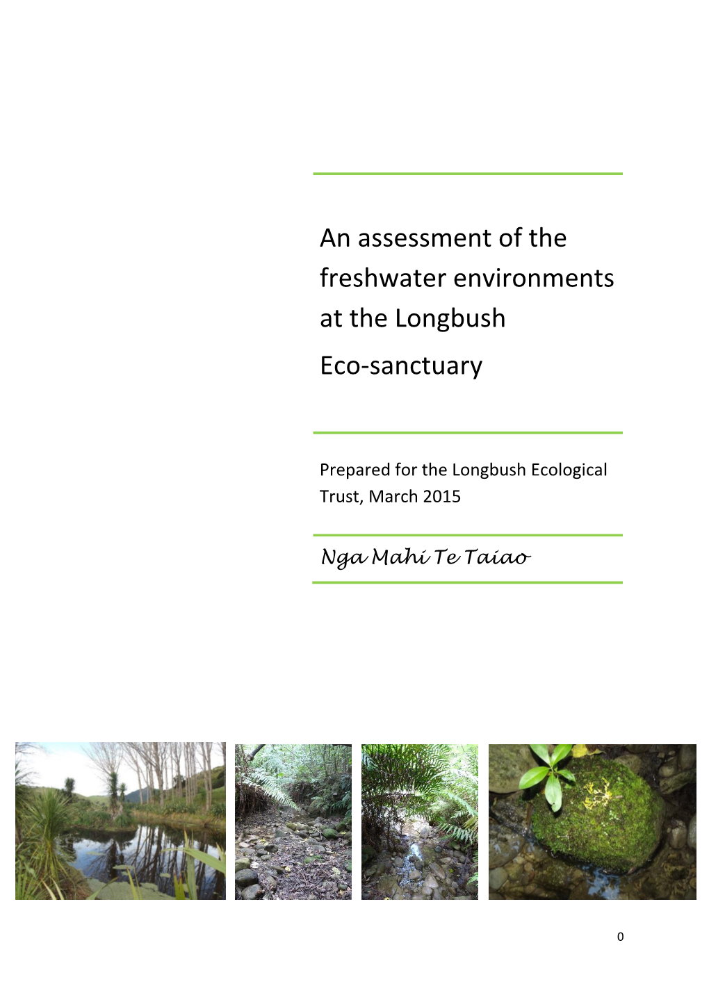 An Assessment of the Freshwater Environments at the Longbush Eco-Sanctuary