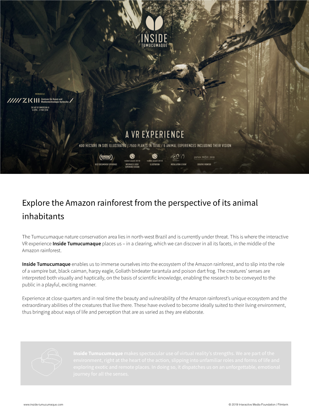 Explore the Amazon Rainforest from the Perspective of Its Animal Inhabitants