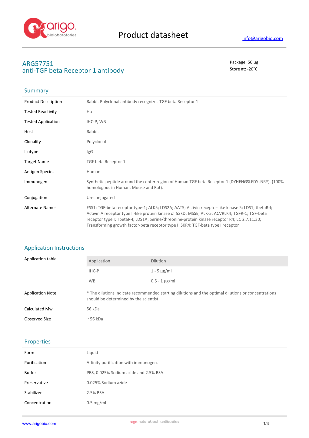 Anti-TGF Beta Receptor 1 Antibody (ARG57751)