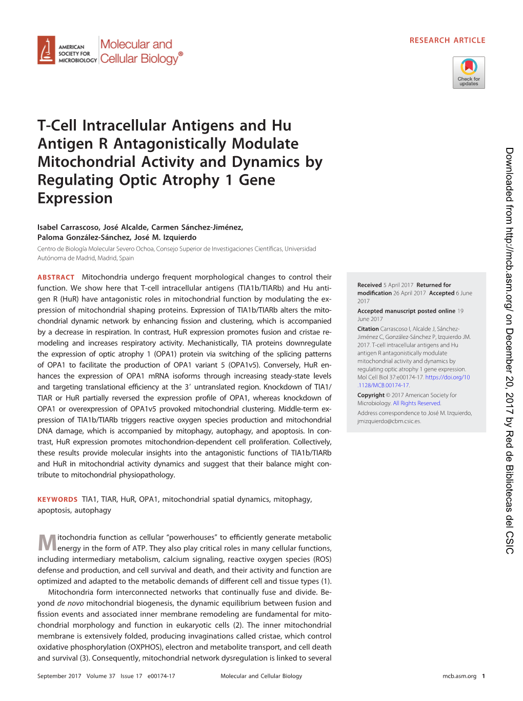 T-Cell Intracellular Antigens and Hu Antigen R Antagonistically