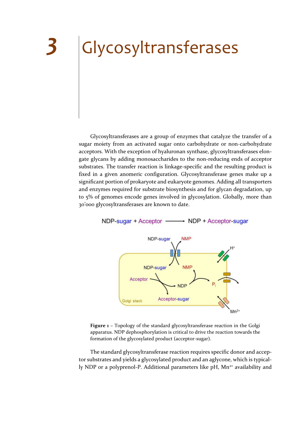 Glycosyltransferases.Pdf