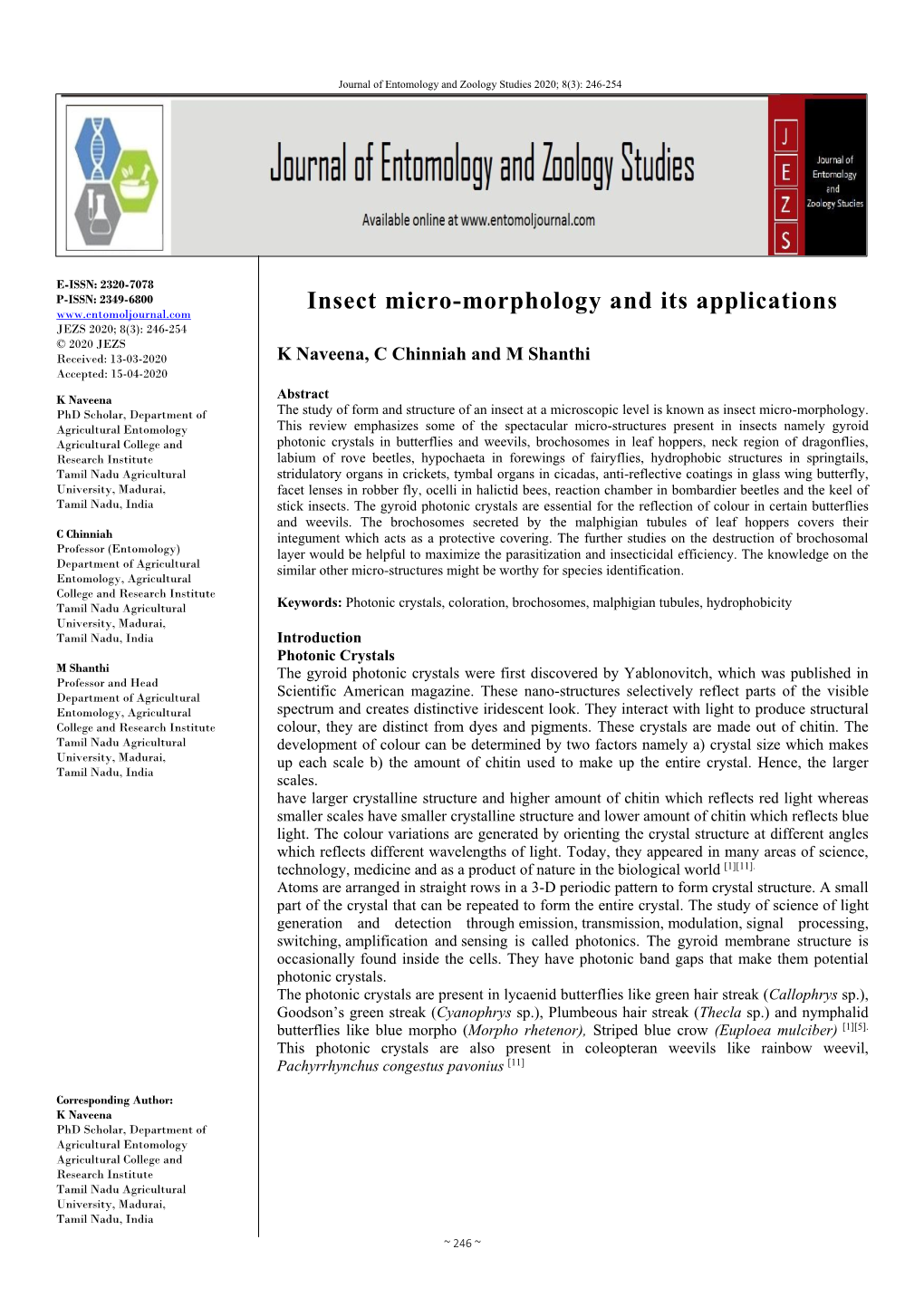 Insect Micro-Morphology and Its Applications