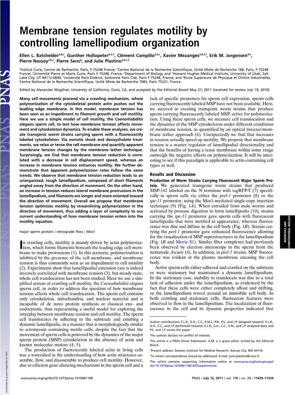 Membrane Tension Regulates Motility by Controlling Lamellipodium Organization