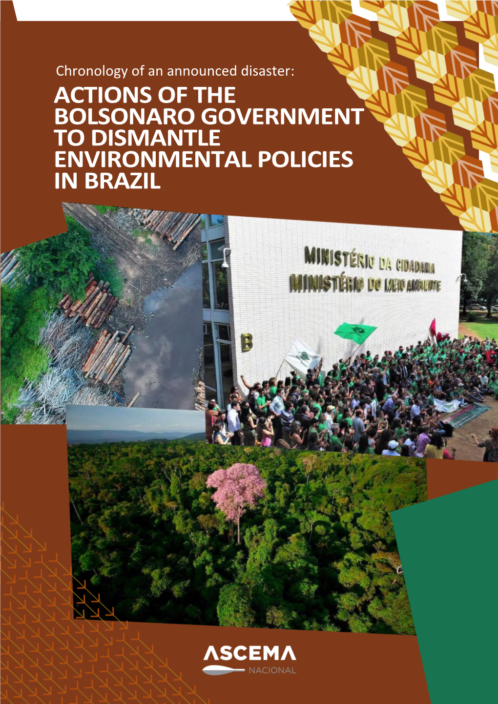 Actions of the Bolsonaro Government to Dismantle Environmental Policies in Brazil