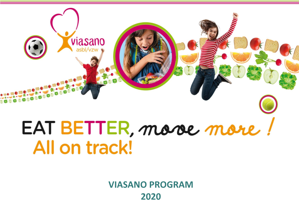 Viasano Asbl/Vzw VIASANO PROGRAM 2020