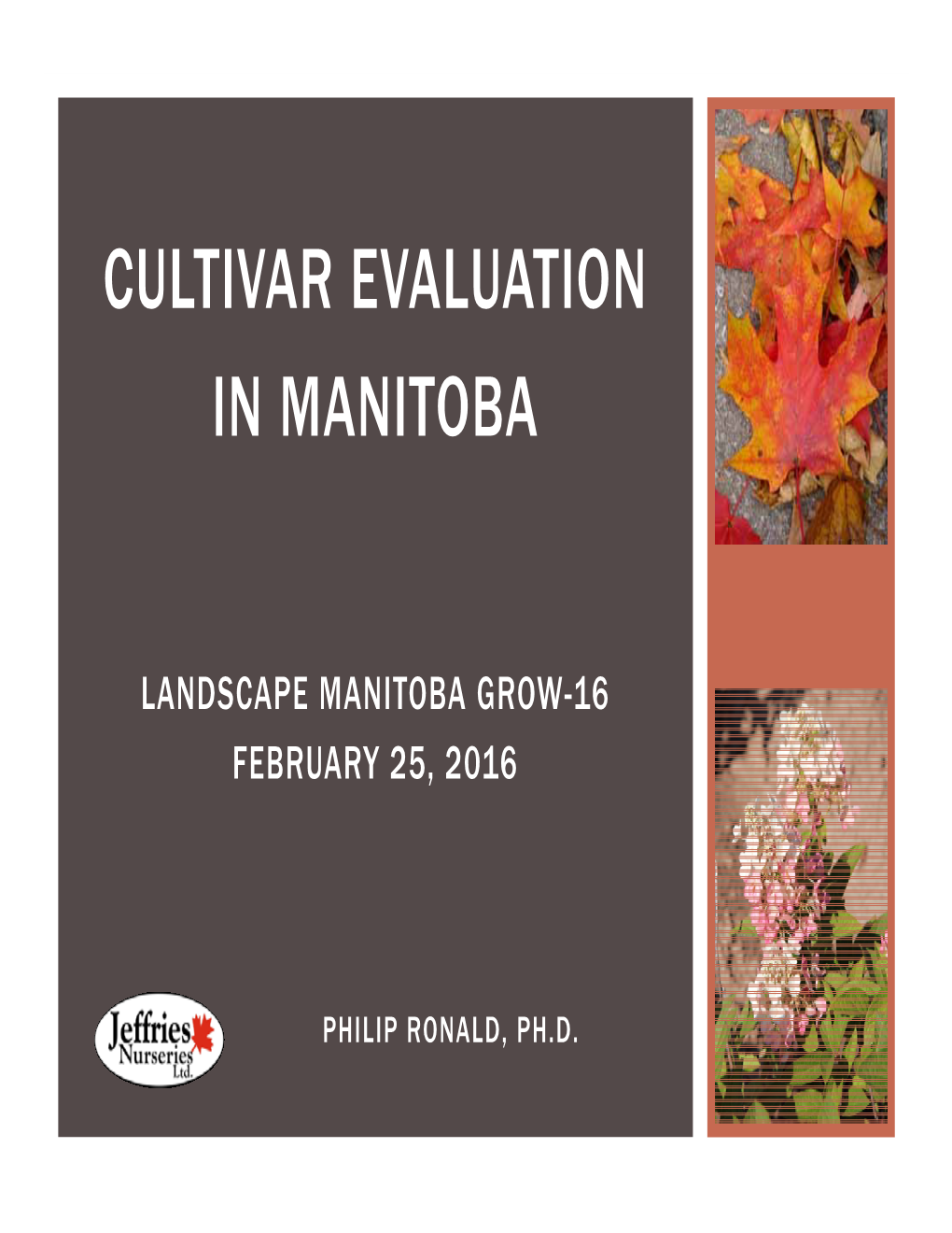 Cultivar Evaluation in Manitoba