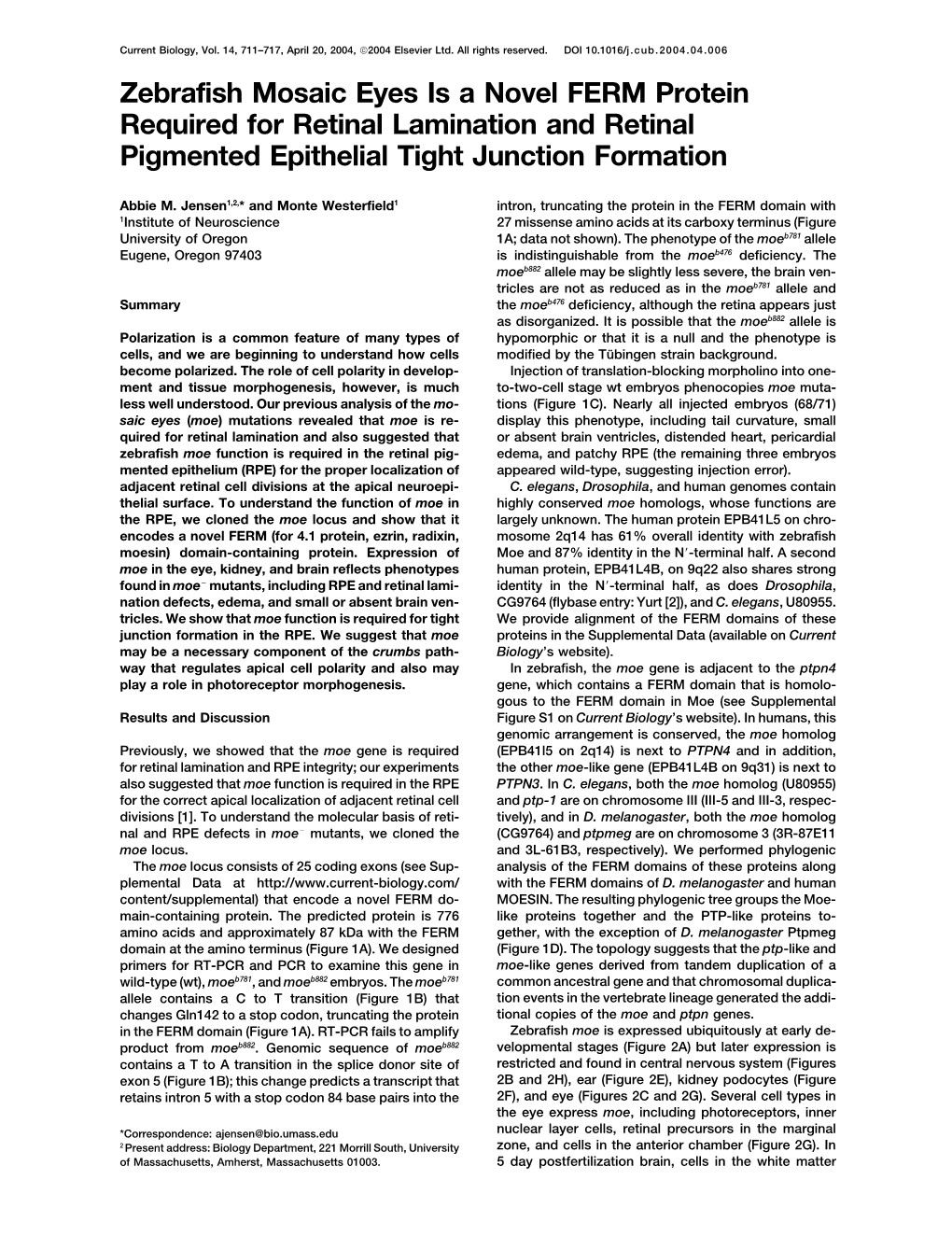 Zebrafish Mosaic Eyes Is a Novel FERM Protein Required for Retinal Lamination and Retinal Pigmented Epithelial Tight Junction Formation