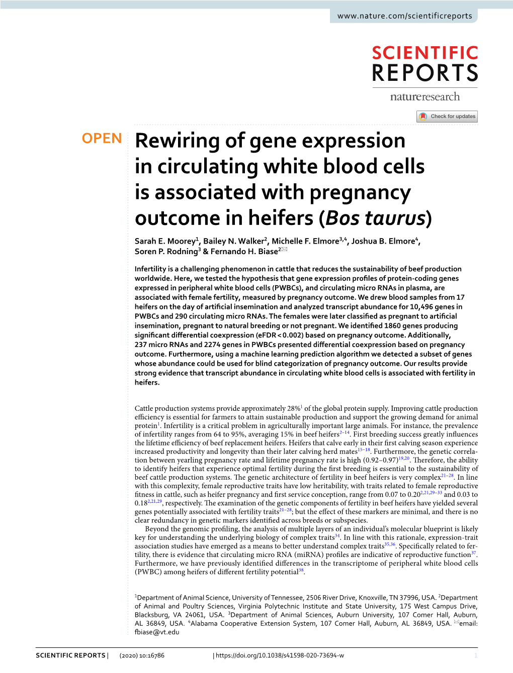 Rewiring of Gene Expression in Circulating White Blood Cells Is Associated with Pregnancy Outcome in Heifers (Bos Taurus) Sarah E