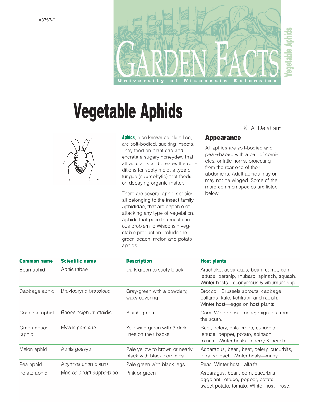 Vegetable Aphids K