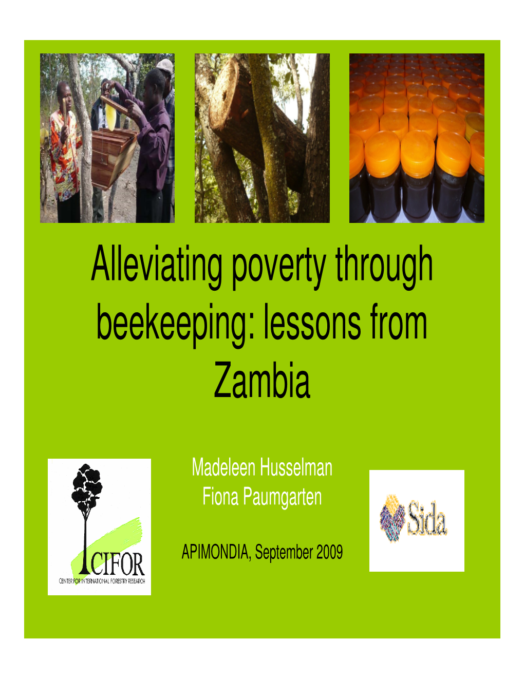 Alleviating Poverty Through Beekeeping: Lessons from Zambia