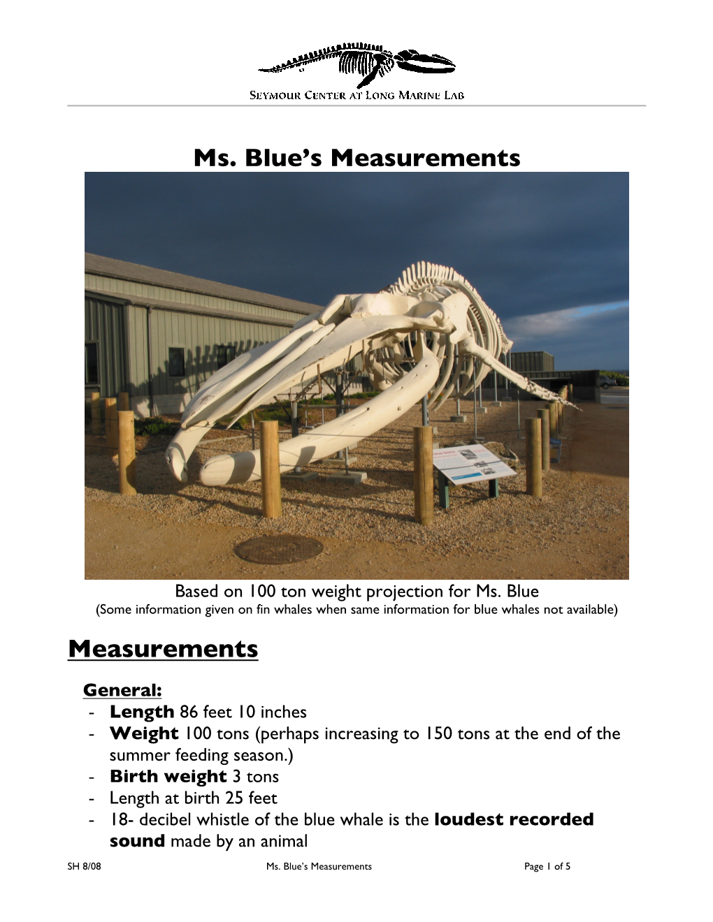 Ms. Blue's Measurements Measurements