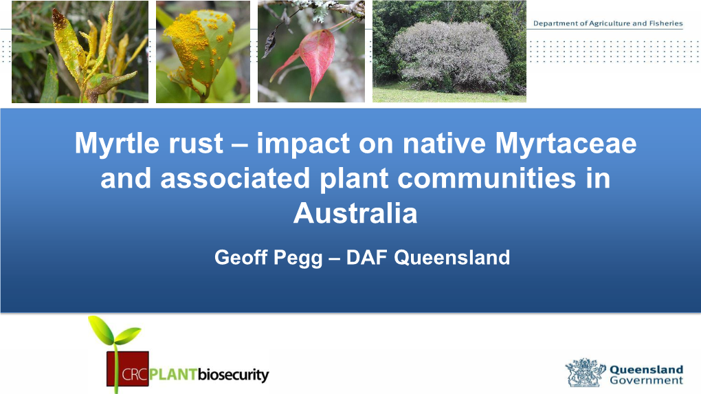 Myrtle Rust – Impact on Native Myrtaceae and Associated Plant Communities in Australia Geoff Pegg – DAF Queensland What Is Myrtle Rust & Why Significant to Australia?