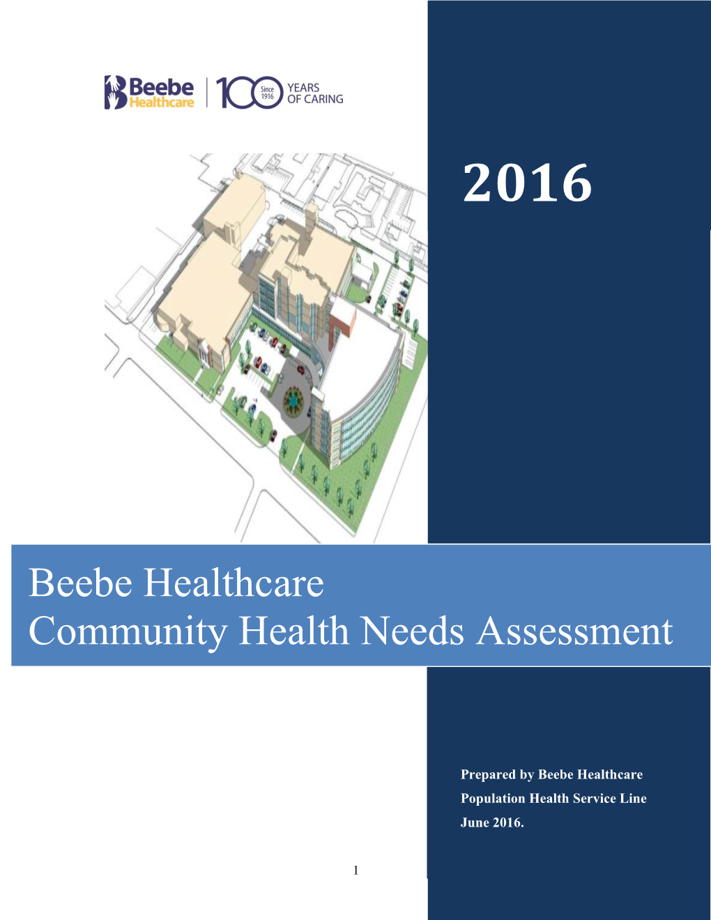 Beebe Healthcare Community Health Needs Assessment