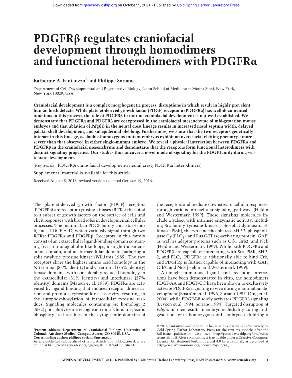 Pdgfrβ Regulates Craniofacial Development Through Homodimers and Functional Heterodimers with Pdgfrα