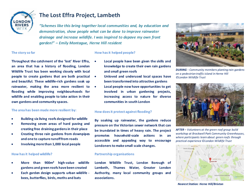 The Lost Effra Project, Lambeth