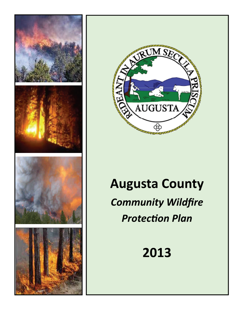 Community Wildfire Protecon Plan