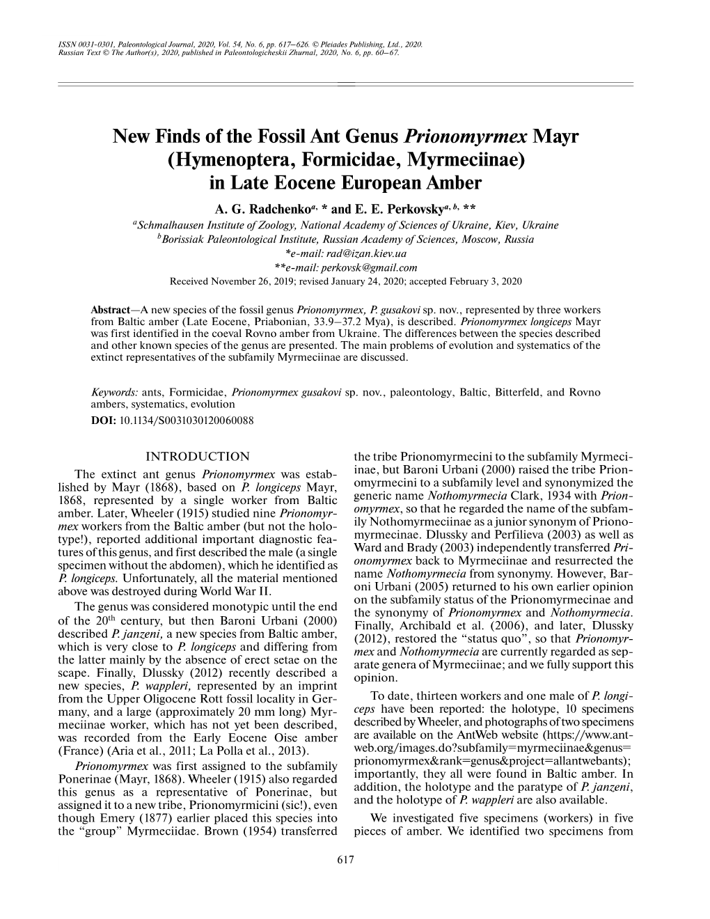 New Finds of the Fossil Ant Genus Prionomyrmex Mayr (Hymenoptera, Formicidae, Myrmeciinae) in Late Eocene European Amber A