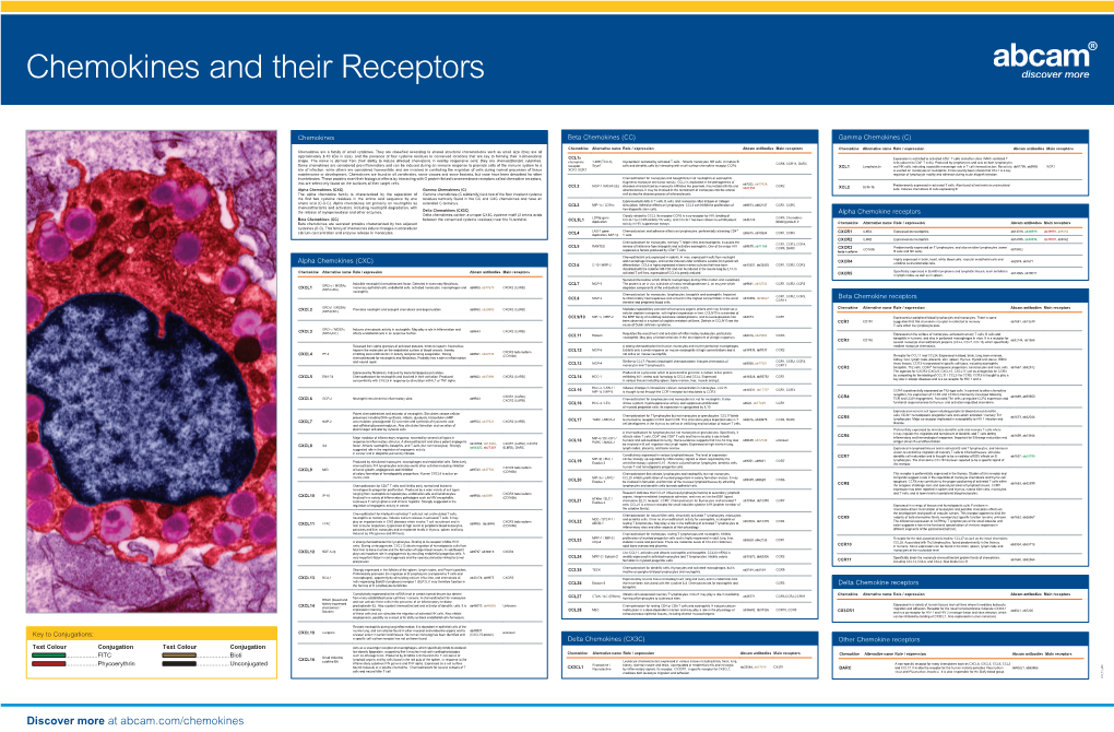 Discover More at Abcam.Com/Chemokines