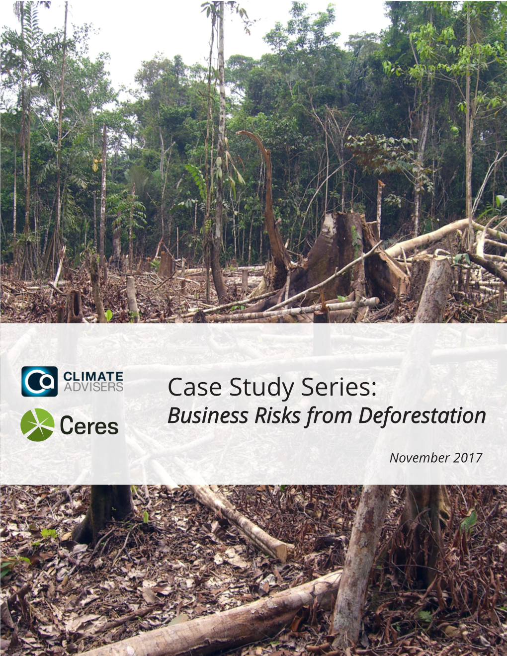 Case Study Series: Business Risks from Deforestation