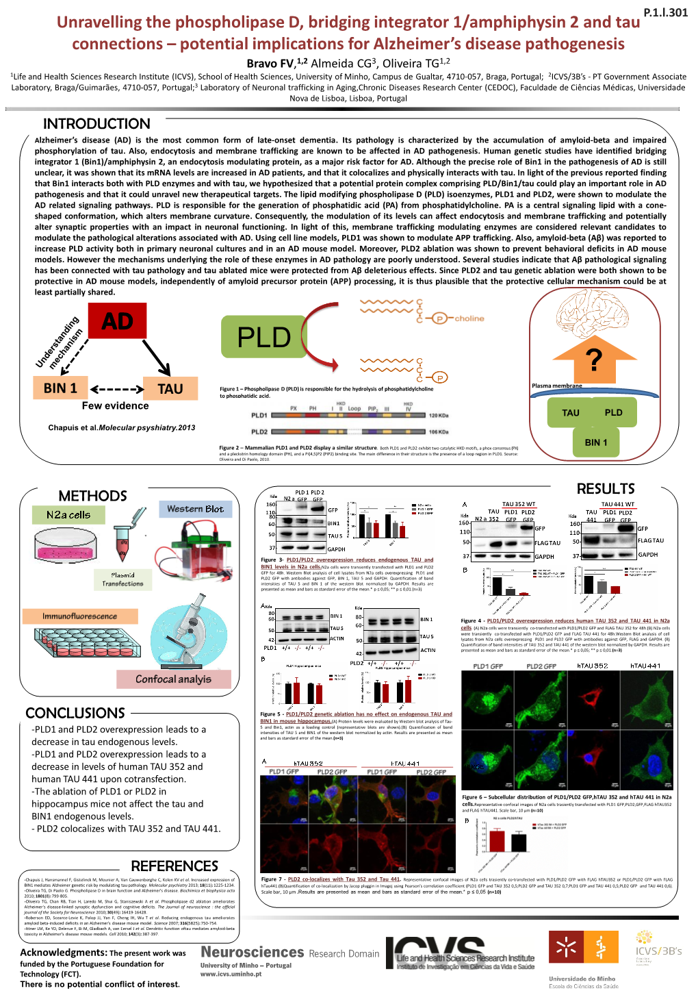 Unravelling the Phospholipase D, Bridging Integrator 1/Amphiphysin 2 and Tau