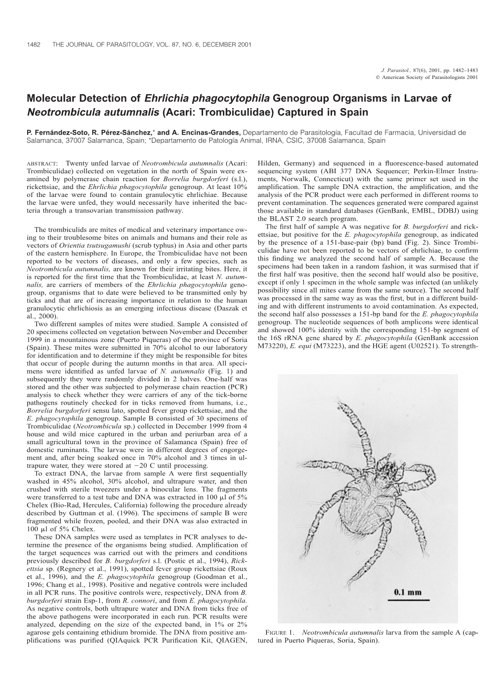 Molecular Detection of Ehrlichia Phagocytophila Genogroup Organisms in Larvae of Neotrombicula Autumnalis (Acari: Trombiculidae) Captured in Spain