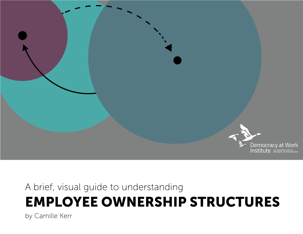 EMPLOYEE OWNERSHIP STRUCTURES by Camille Kerr Conventional Company