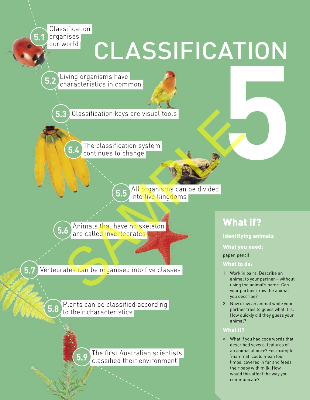 Classification 5.1 Organises Our World CLASSIFICATION