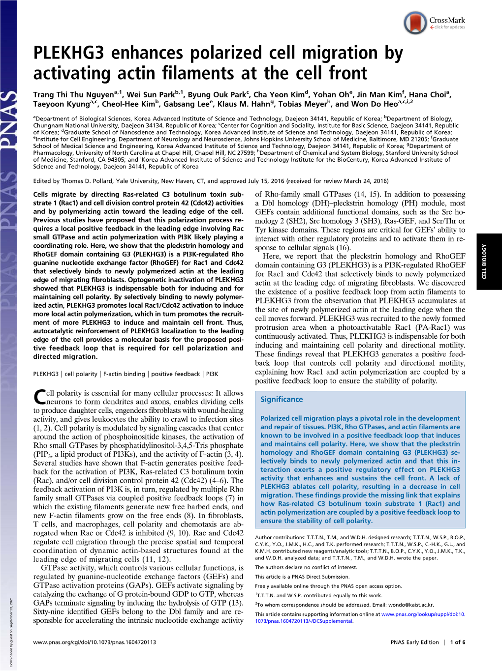 PLEKHG3 Enhances Polarized Cell Migration by Activating Actin Filaments at the Cell Front