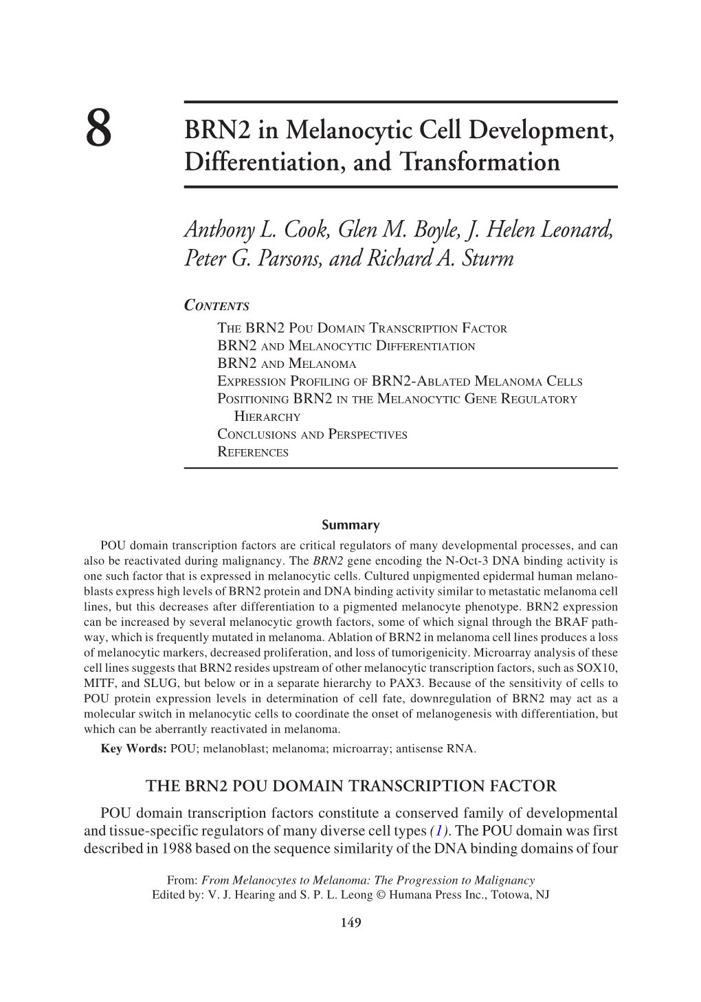 BRN2 in Melanocytic Cell Development, Differentiation, and Transformation