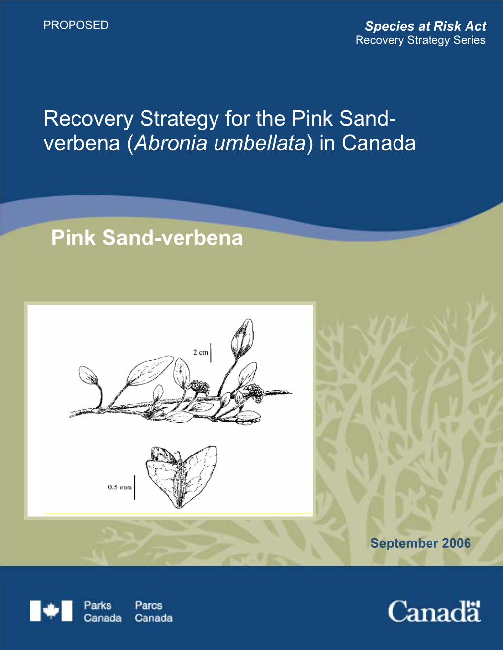 Proposed Recovery Strategy for the Pink Sand-Verbena (Abronia