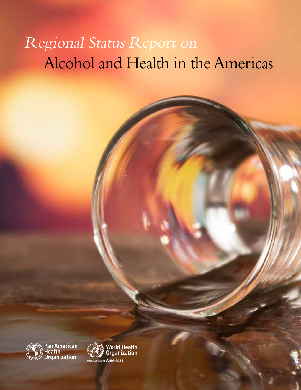 Regional Status Report on Alcohol and Health in the Americas