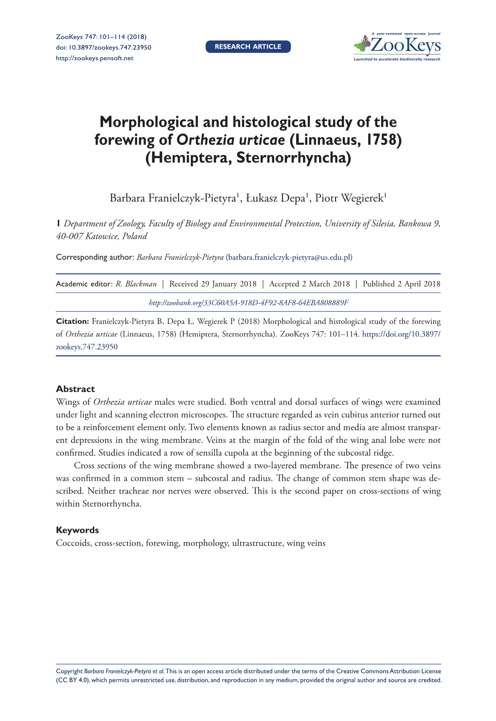 Morphological and Histological Study of the Forewing of Orthezia Urticae (Linnaeus, 1758) (Hemiptera, Sternorrhyncha)