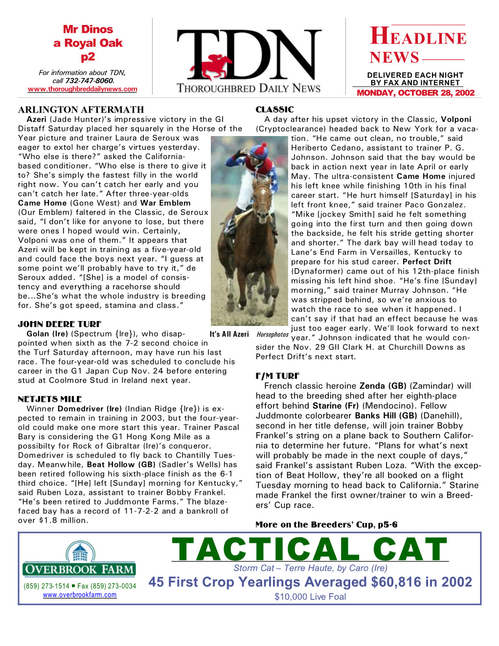 TACTICAL CAT Storm Cat S Terre Haute, by Caro (Ire)