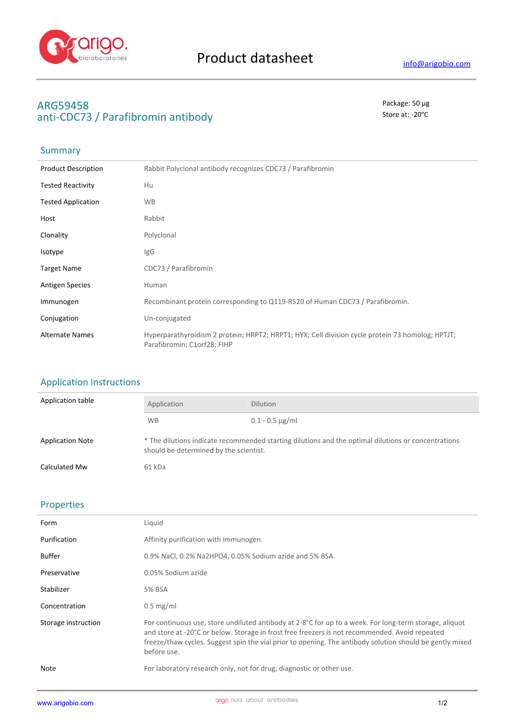 Anti-CDC73 / Parafibromin Antibody (ARG59458)