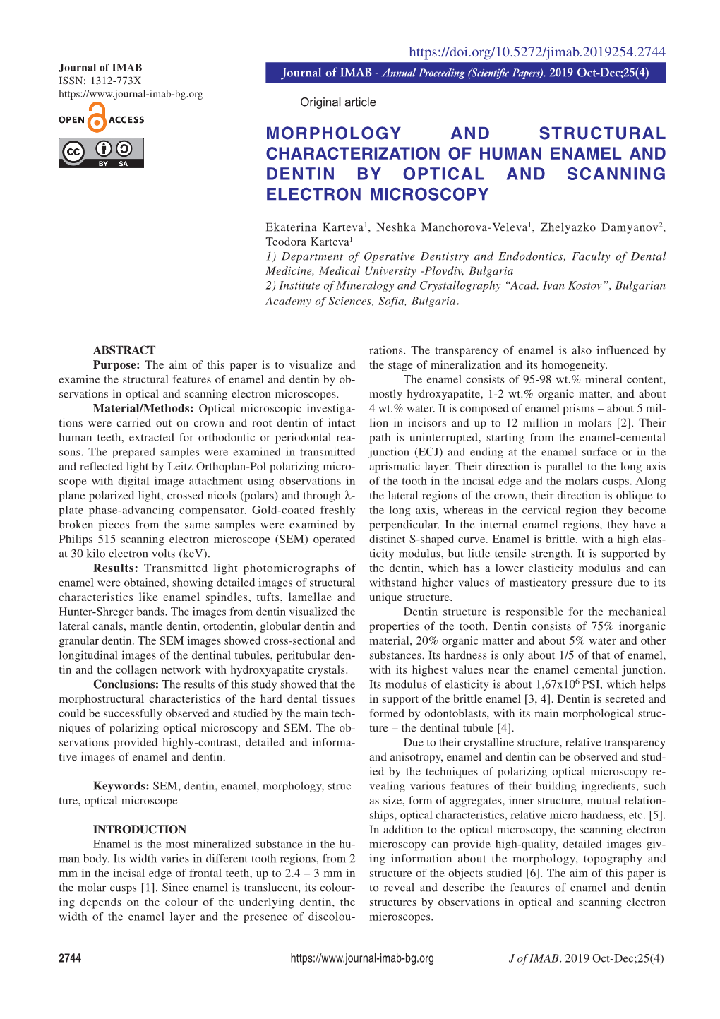 Morphology and Structural Characterization of Human Enamel and Dentin by Optical and Scanning Electron Microscopy