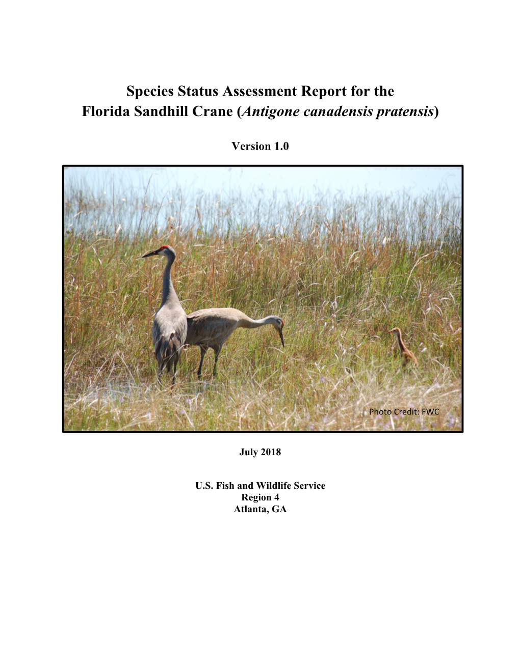 Species Status Assessment Report for the Florida Sandhill Crane (Antigone Canadensis Pratensis)
