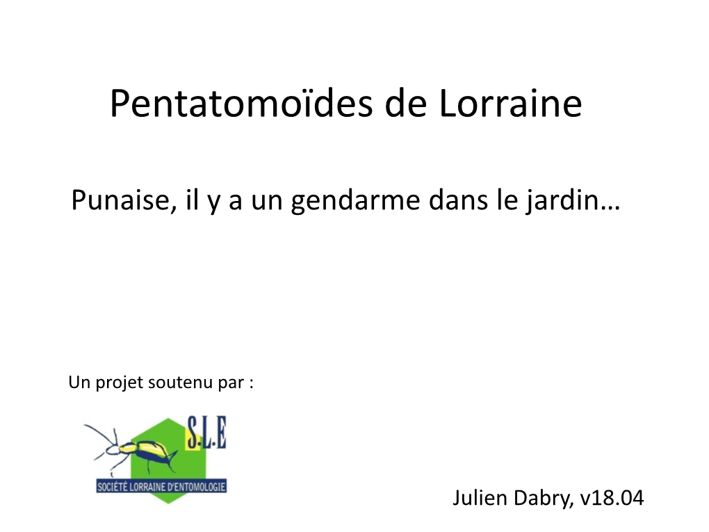 Dabry2018pentatomides De Lorraine.Pdf