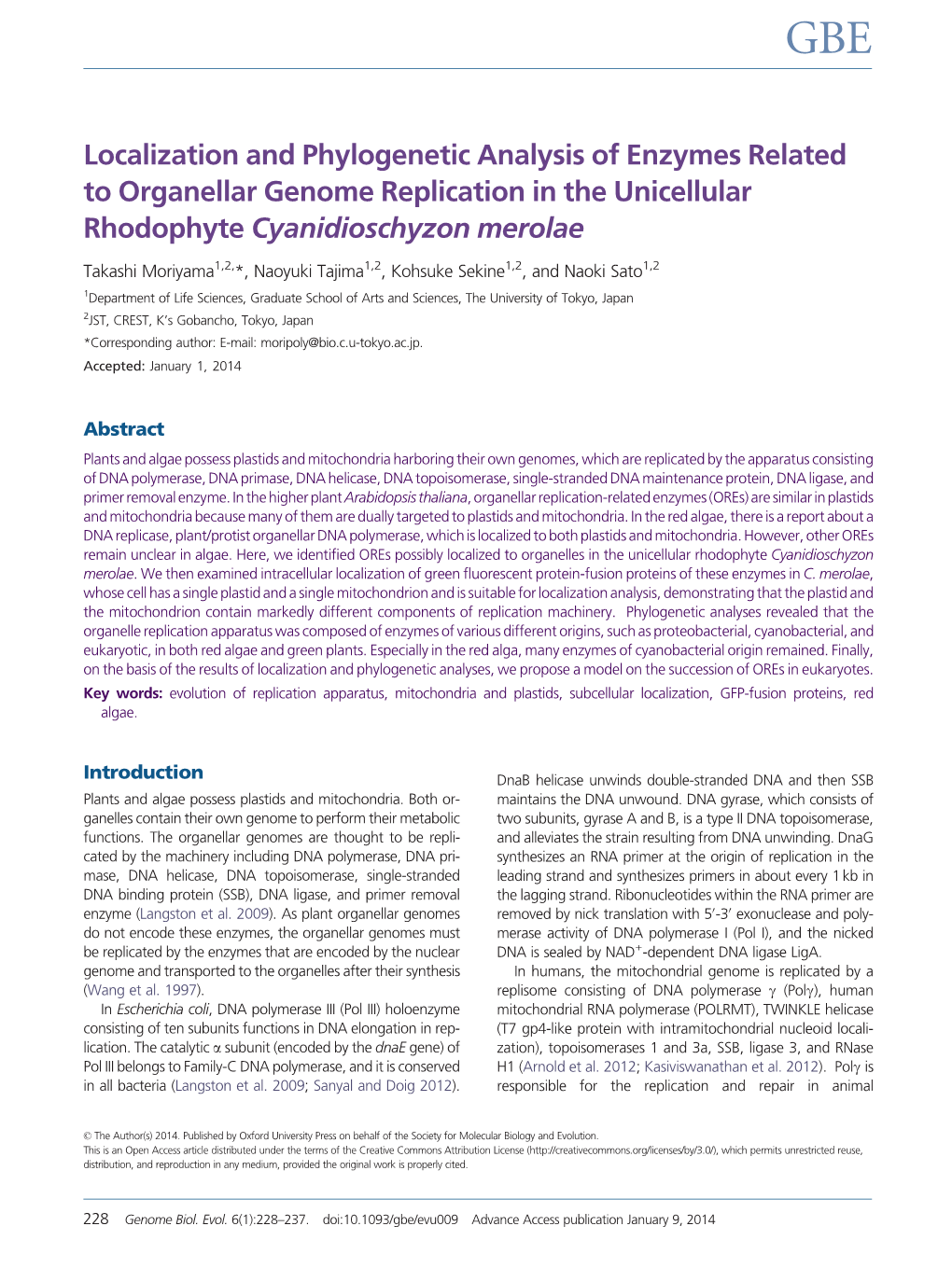 Localization and Phylogenetic Analysis of Enzymes Related to Organellar Genome Replication in the Unicellular Rhodophyte Cyanidioschyzon Merolae