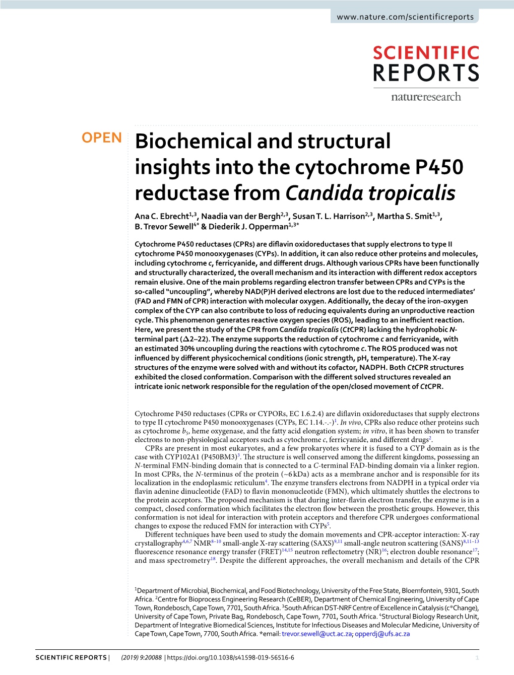 Biochemical and Structural Insights Into the Cytochrome P450 Reductase from Candida Tropicalis Ana C
