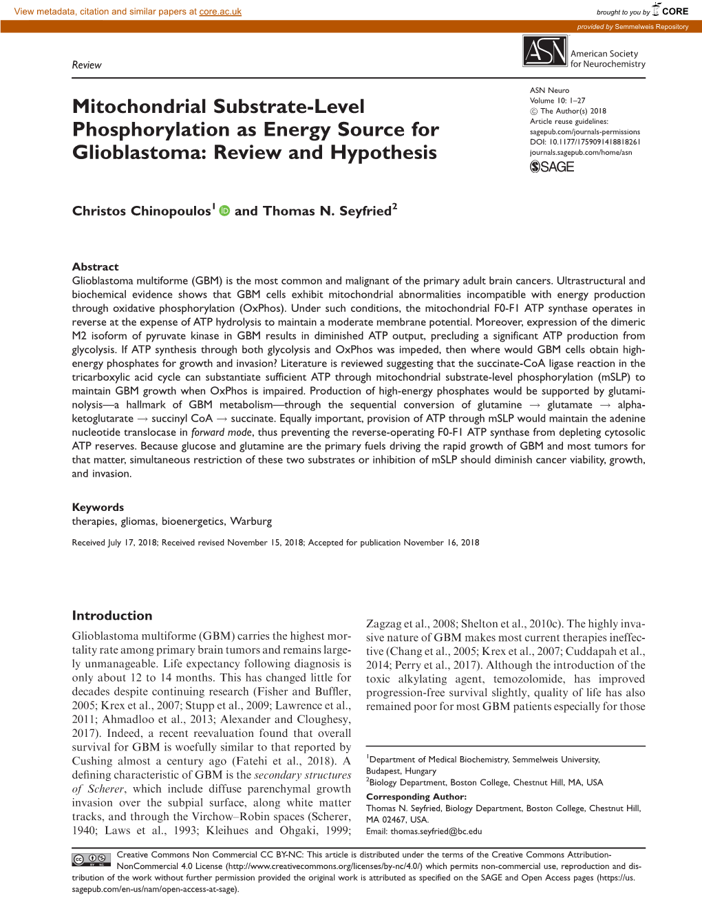 Mitochondrial Substrate-Level Phosphorylation As Energy