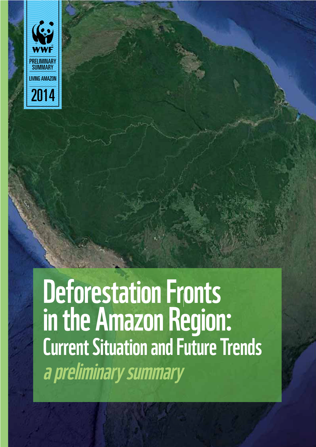 Deforestation Fronts in the Amazon Region: Current Situation and Future Trends a Preliminary Summary