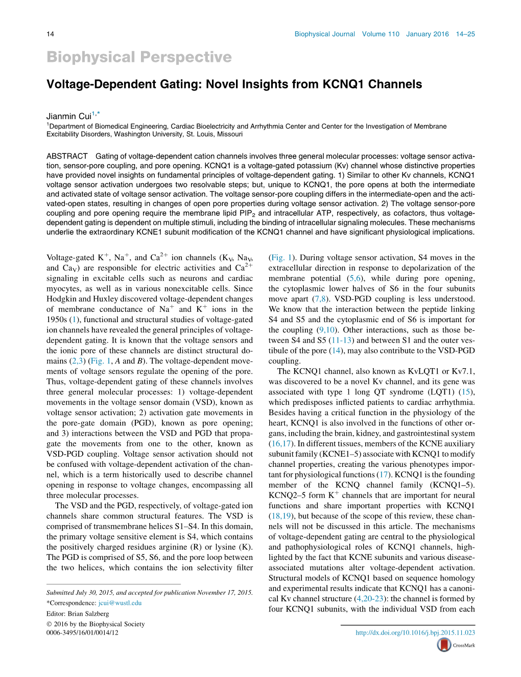 Voltage-Dependent Gating: Novel Insights from KCNQ1 Channels