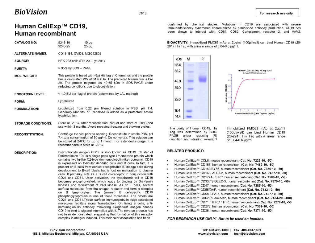 9246-Human Cellexp™ CD19, Hr