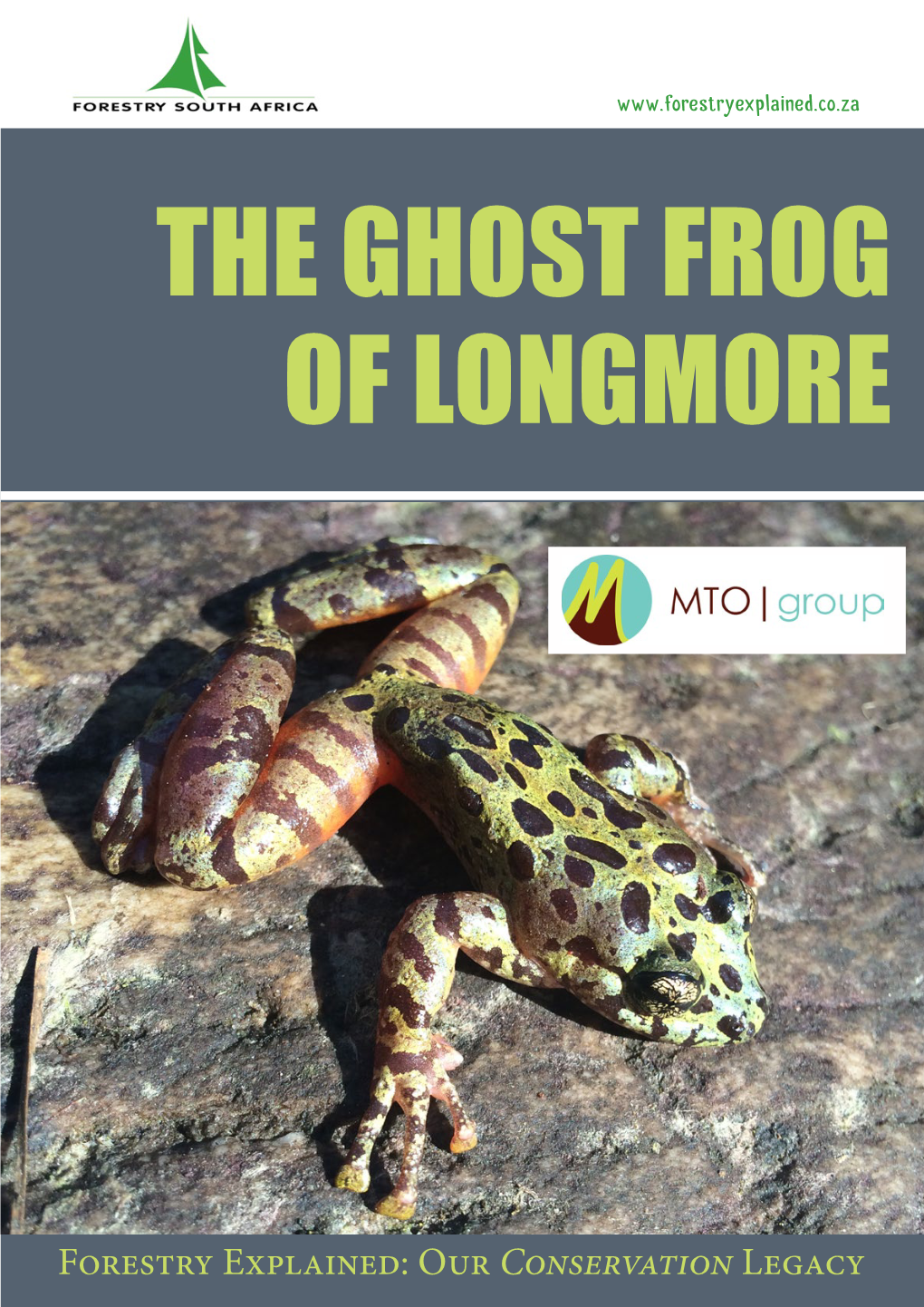 The Ghost Frog of Longmore